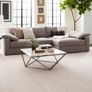 Living room interior | Carpet Mart, INC