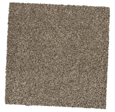 smartstrand_28558_824-swatch-4 Carpet | Carpet Mart