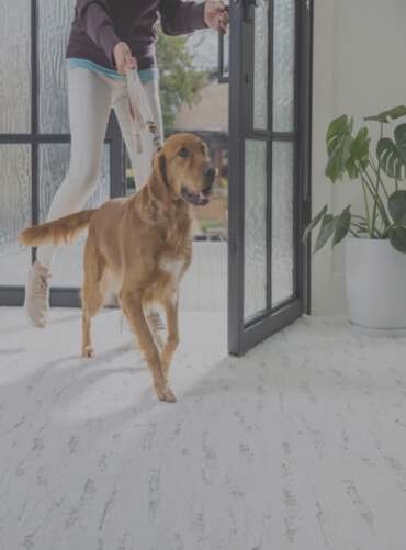 Carpet | Carpet Mart