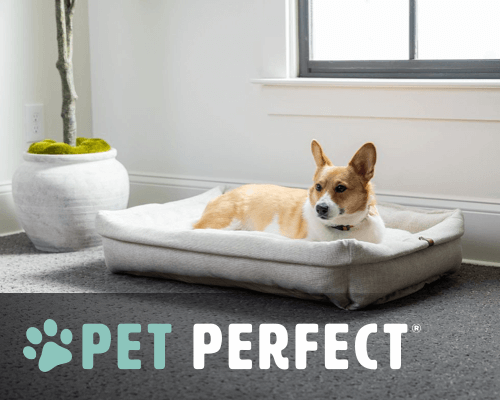 Pet perfect | Carpet Mart