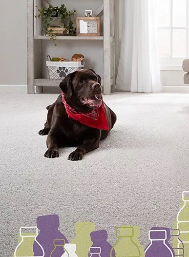 Carpet flooring | Carpet Mart