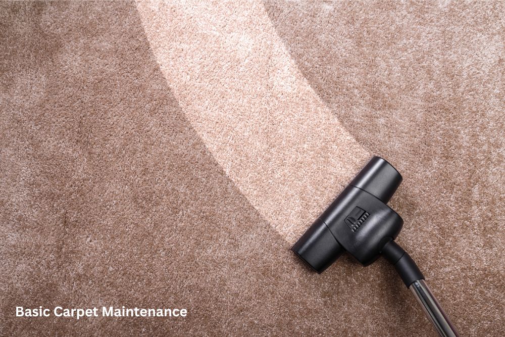 Carpet floor cleaning | Carpet Mart