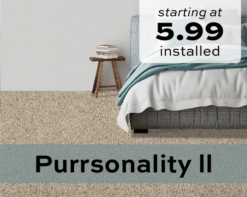 Purrsonality II | Carpet Mart