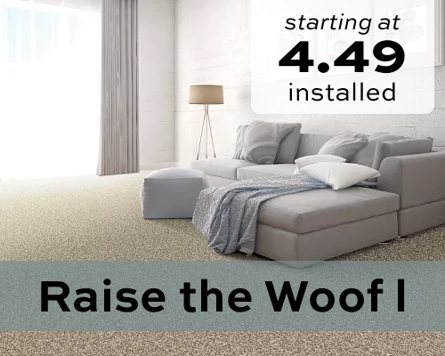 Raise the Woof I | Carpet Mart
