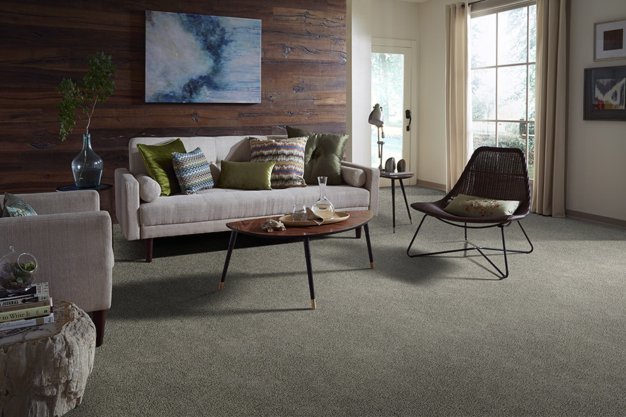 Nylon and Polyester Carpet Performance | Carpet Mart