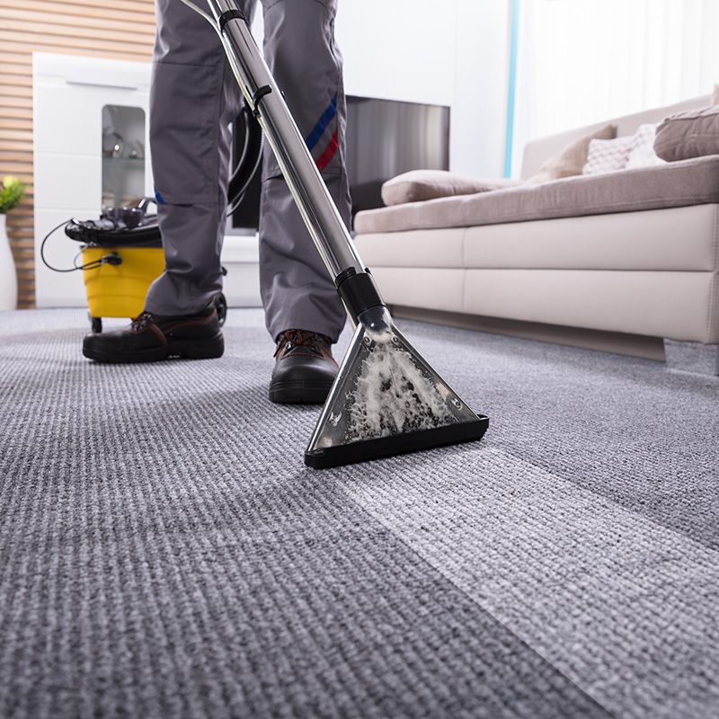 professional-carpet-cleaning | Carpet Mart