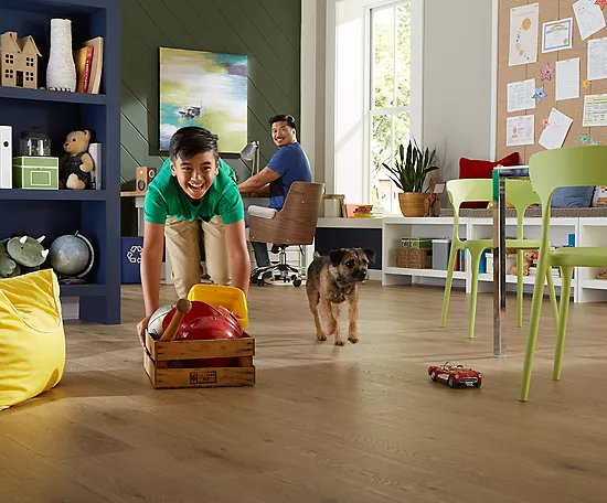 safeguarding-floors-from-pets | Carpet Mart