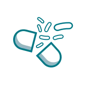 Capsule breaks 1 | Carpet Mart
