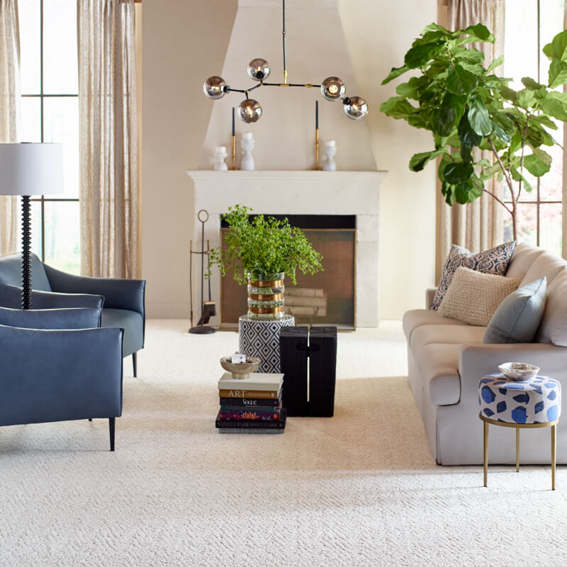 Coordinating Carpet and Window Treatments for a Balanced Home