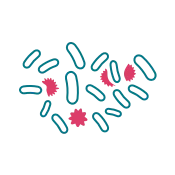 probiotics multiply | Carpet Mart